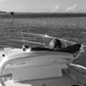 Meet your Posher, Fredrick